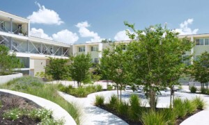 Modern apartment complex courtyard with curved landscaped beds, young trees, ornamental grasses