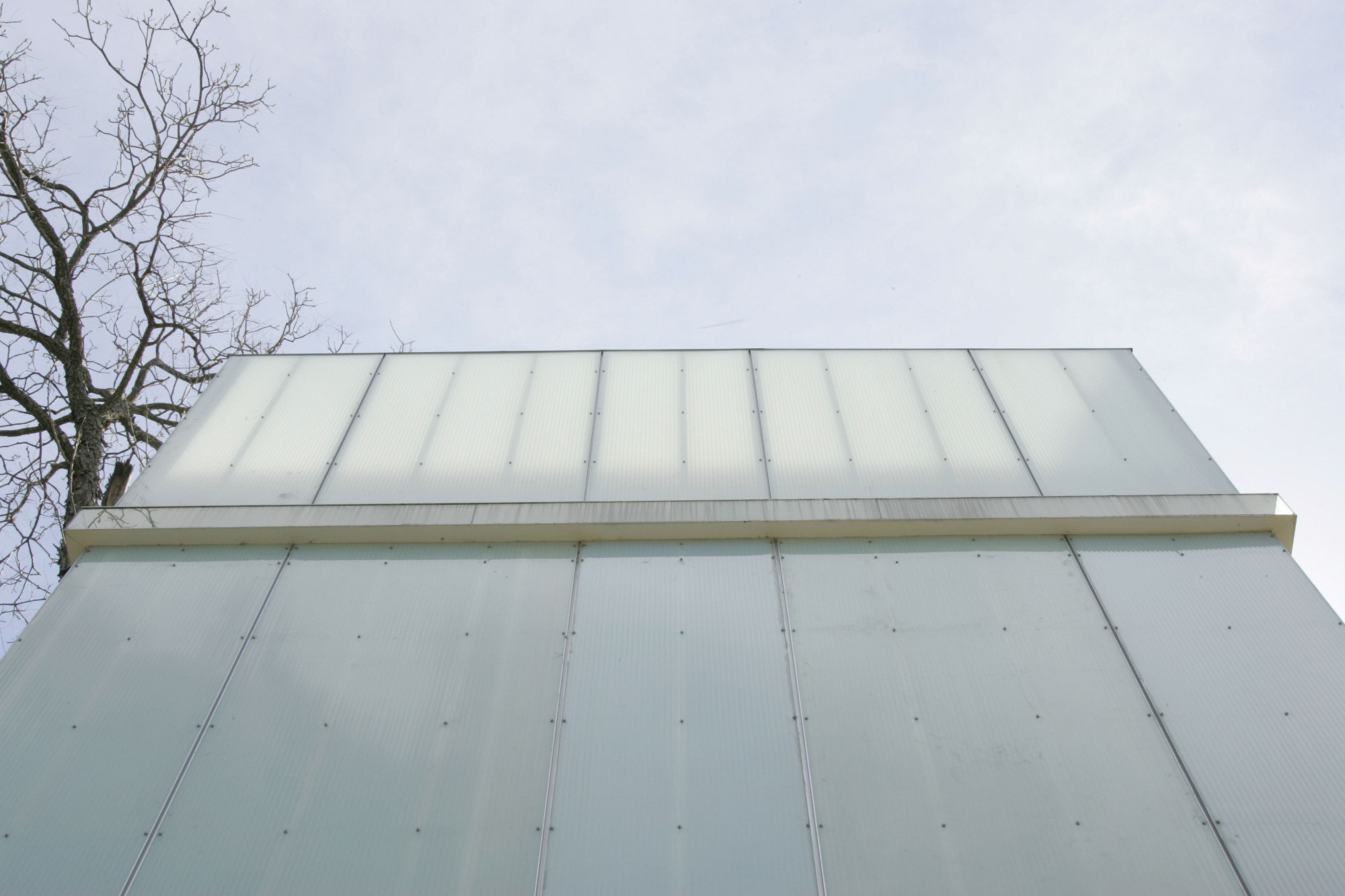 Translucent polycarbonate panel facade of building corner with bare tree branches against overcast